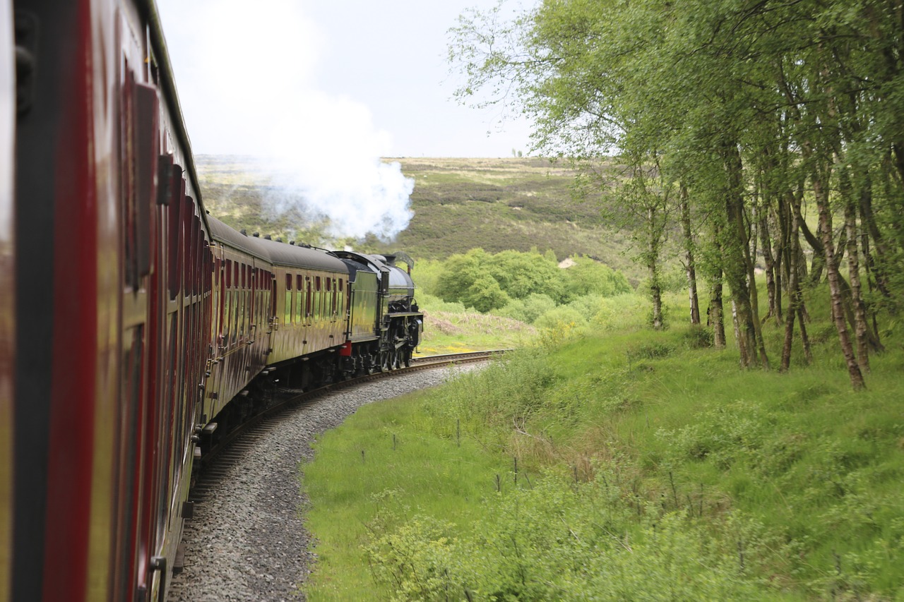 New steam railway фото 86